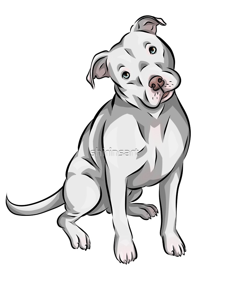 Weisser Pitbull - KibrisPDR