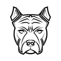 Detail Weisser Pitbull Nomer 15