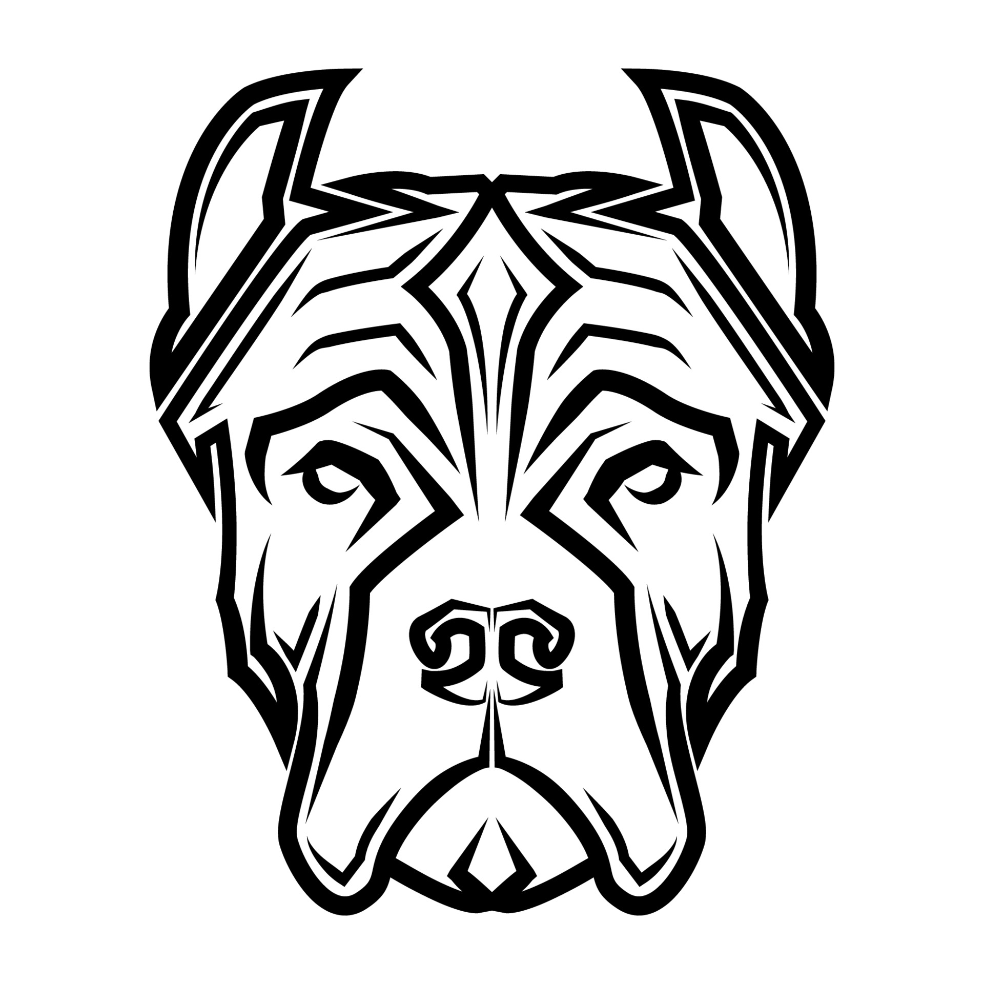 Detail Weisser Pitbull Nomer 18