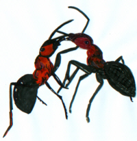 Ameisennest Der Roten Waldameise Arbeitsblatt - KibrisPDR