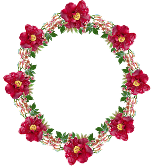 Detail Blumenfotos Kostenlos Nomer 5