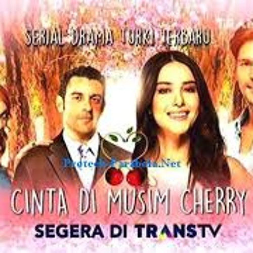 Detail Cinta Musim Cherry Nomer 12