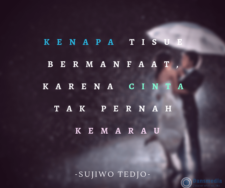 Detail Cinta Yang Tulus Quotes Nomer 49