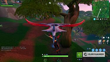 Detail Circling Jungle Parrot Fortnite Nomer 10