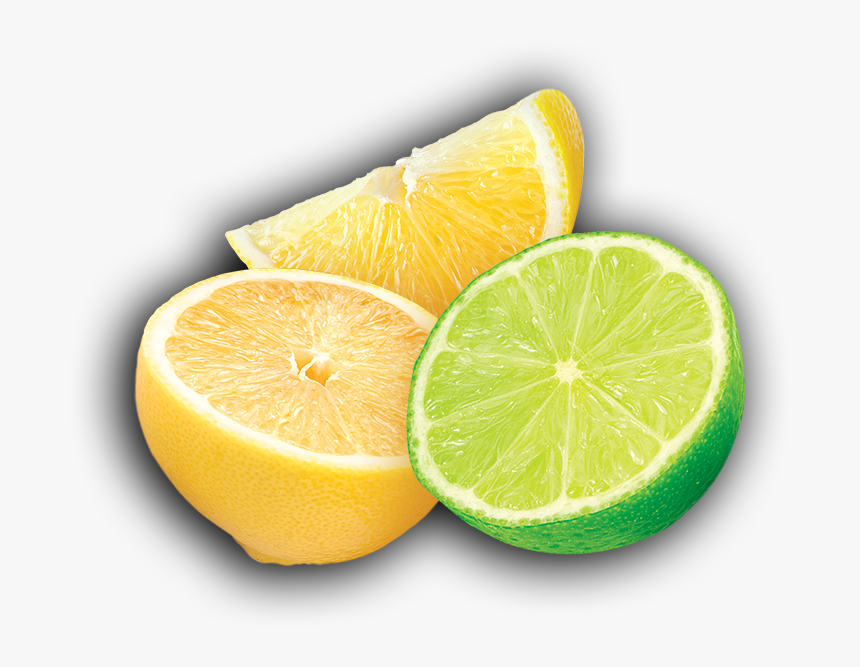 Detail Citrus Png Nomer 22