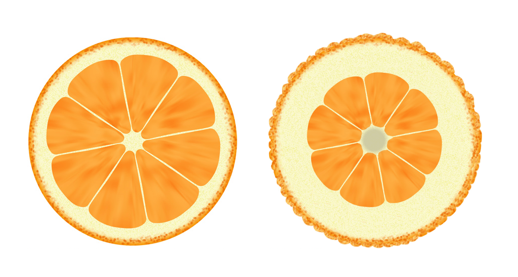 Detail Citrus Png Nomer 37