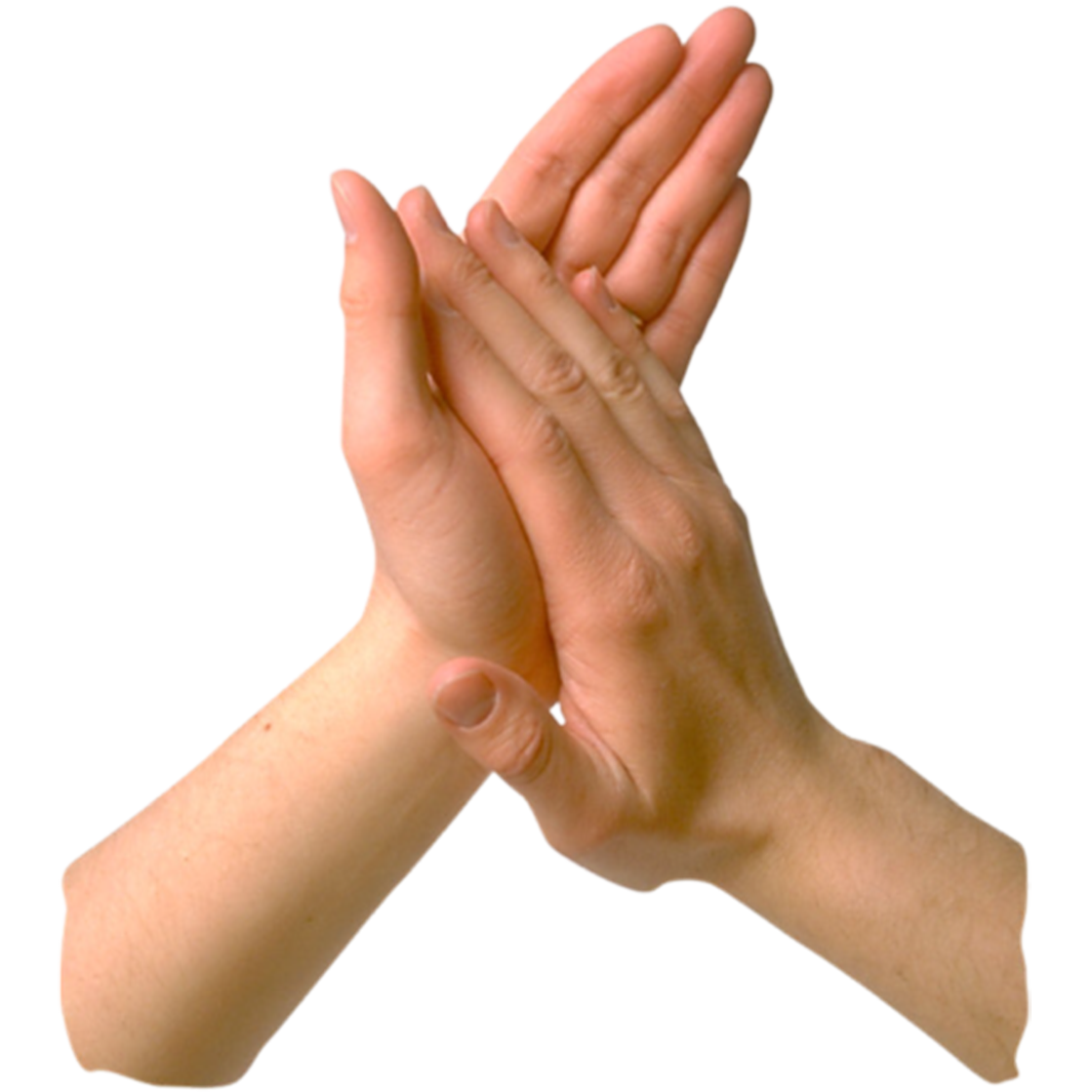 Clapping Hands Transparent - KibrisPDR