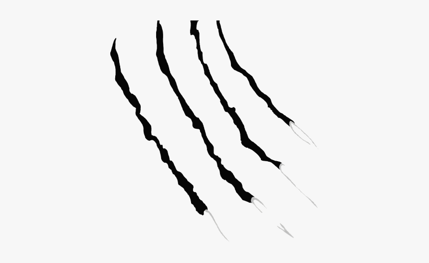 Detail Claw Scratch Transparent Nomer 4