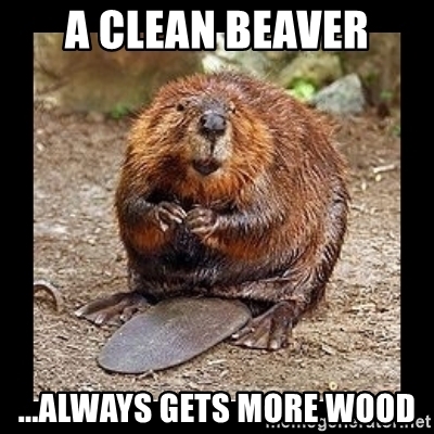 Detail Clean Beaver Meme Nomer 2