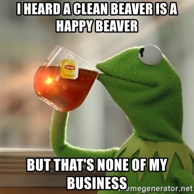 Detail Clean Beaver Meme Nomer 31