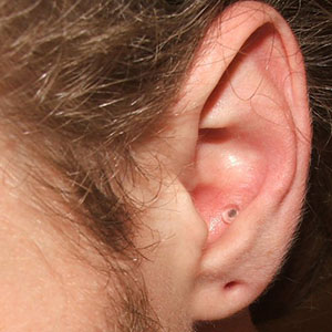 Detail Clear Conch Piercing Nomer 42