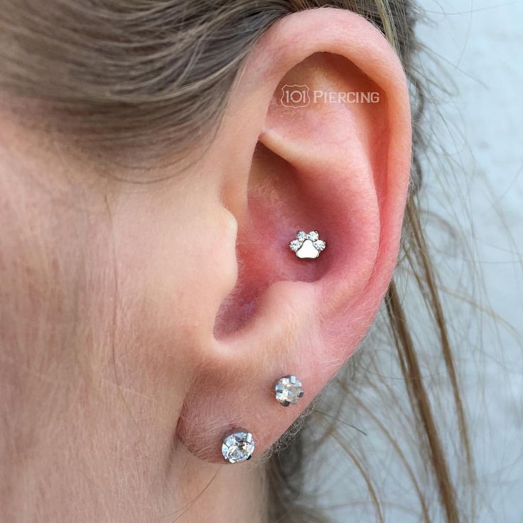 Detail Clear Conch Piercing Nomer 48