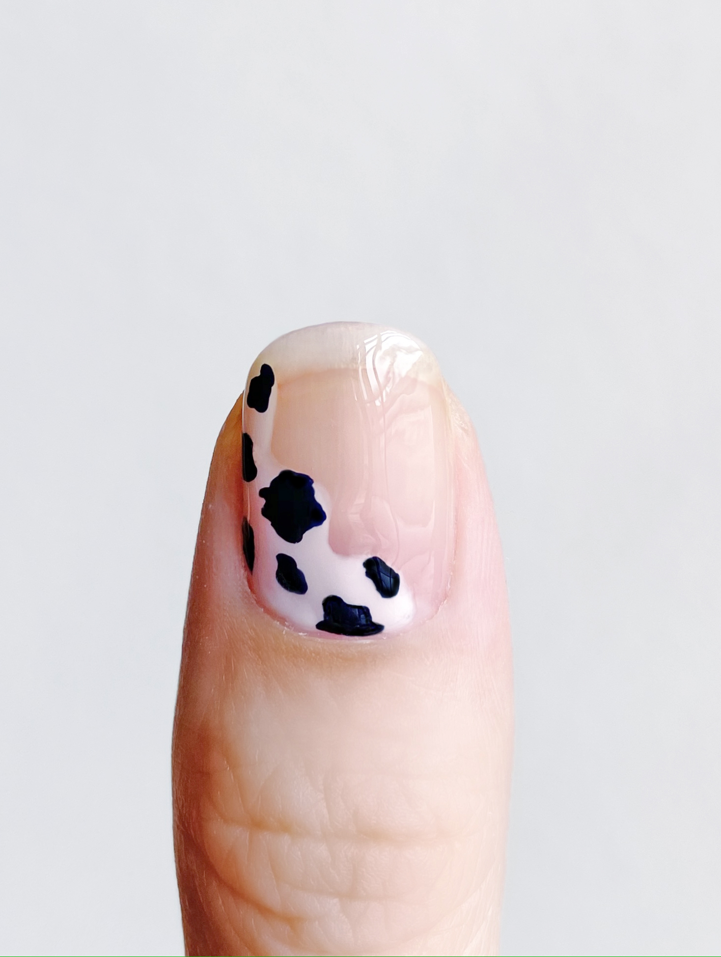 Detail Clear Cow Print Nails Nomer 11