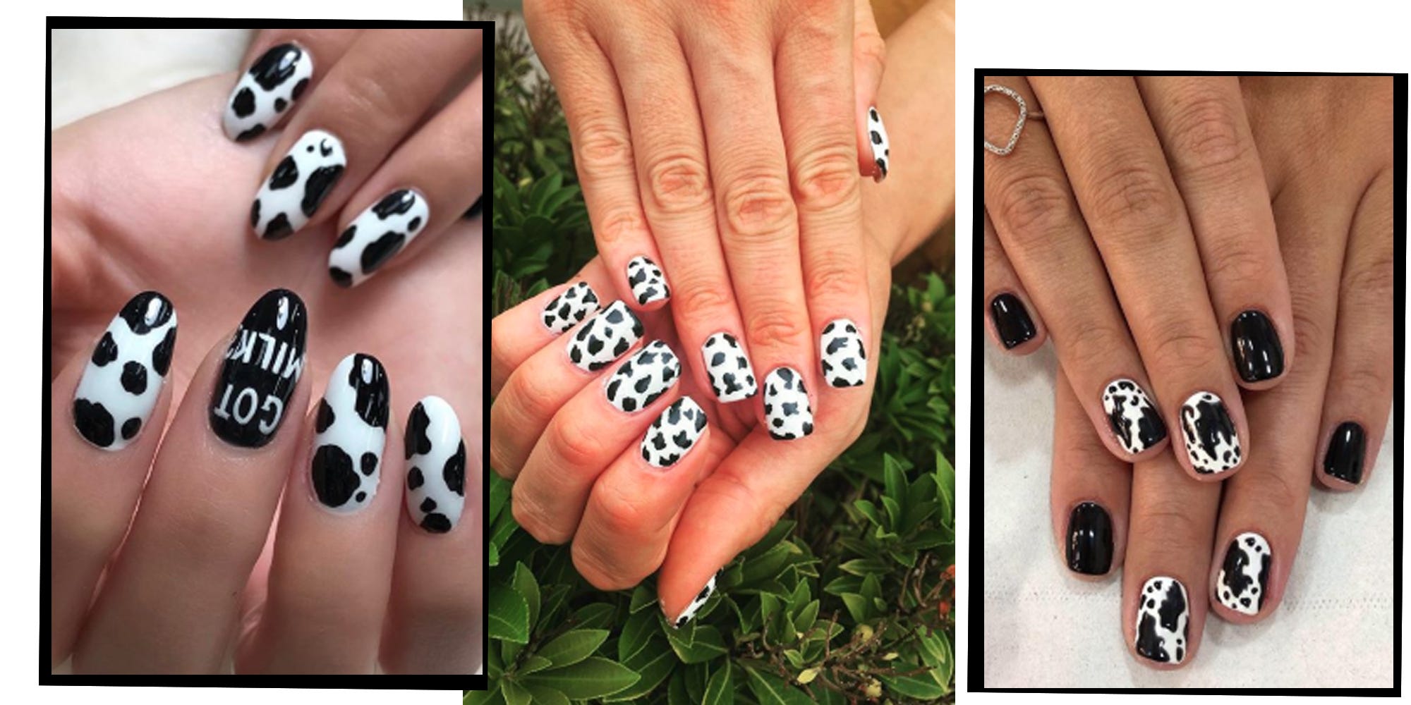 Detail Clear Cow Print Nails Nomer 37