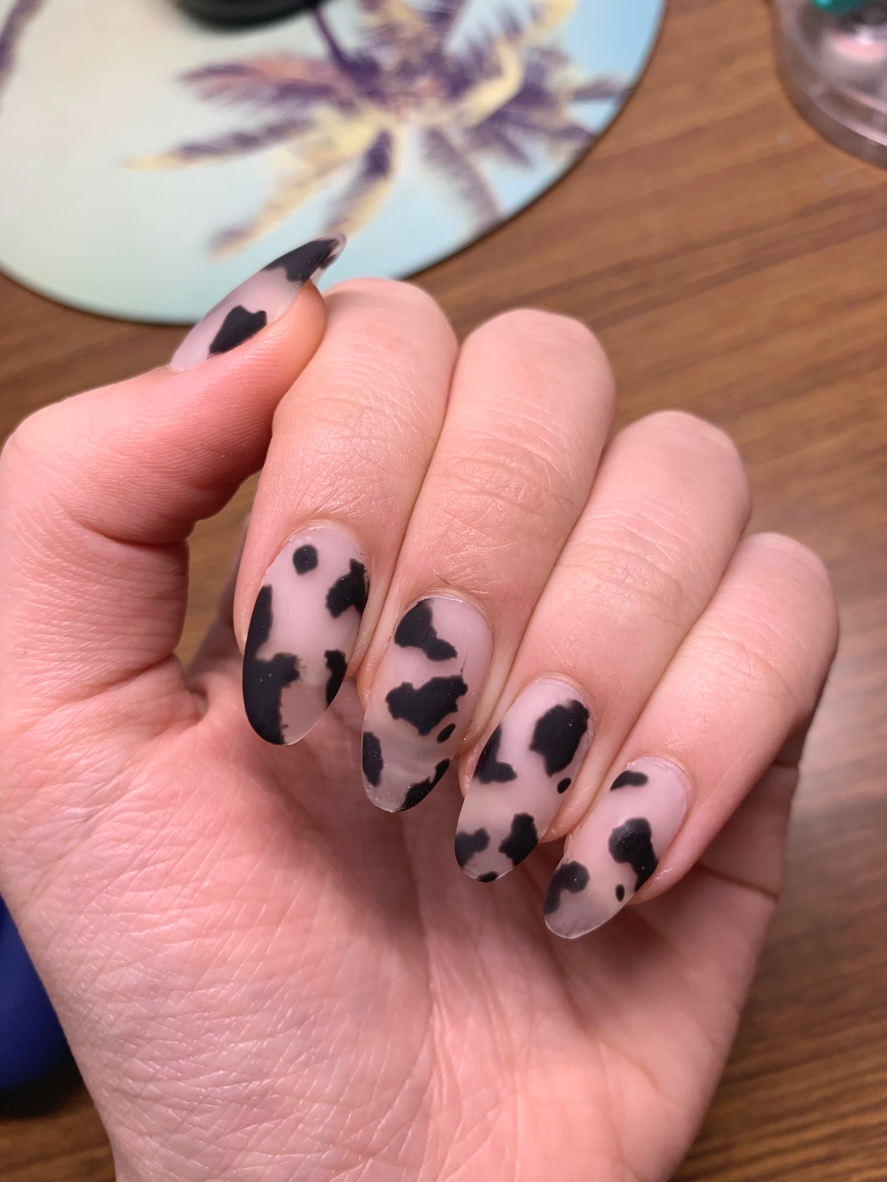 Detail Clear Cow Print Nails Nomer 50