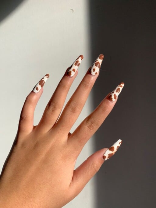 Detail Clear Cow Print Nails Nomer 8