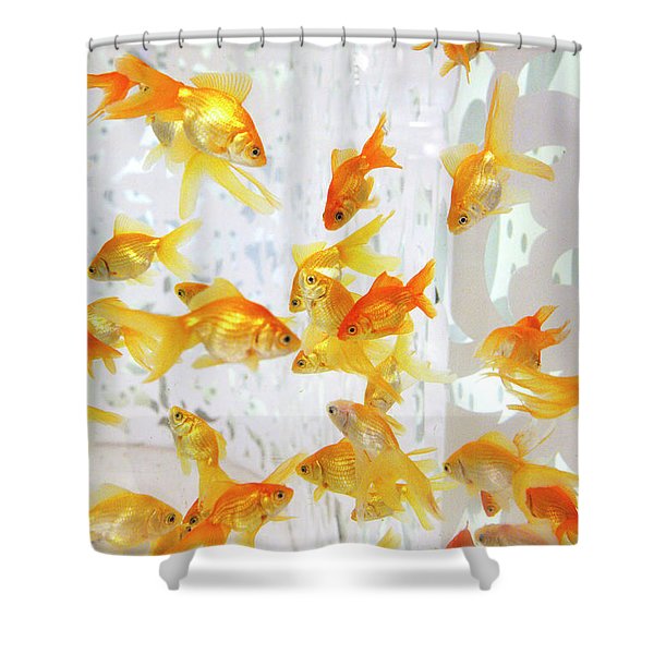 Detail Clear Goldfish Shower Curtain Nomer 11