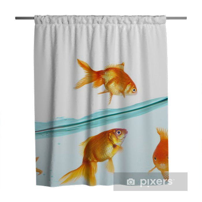 Detail Clear Goldfish Shower Curtain Nomer 12