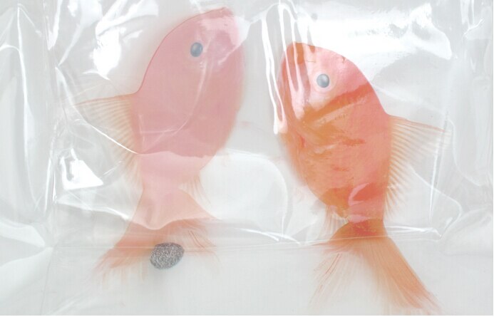 Detail Clear Goldfish Shower Curtain Nomer 26