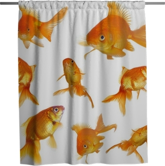 Detail Clear Goldfish Shower Curtain Nomer 40