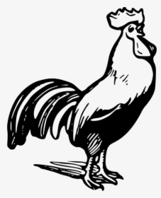 Detail Clip Art Ayam Nomer 22