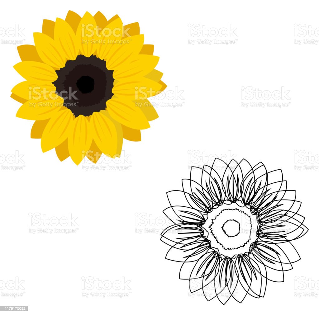 Detail Clip Art Bunga Matahari Nomer 28
