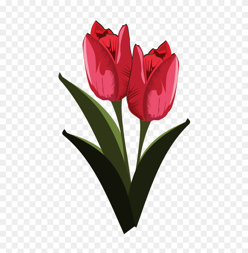 Detail Clip Art Bunga Tulip Nomer 17