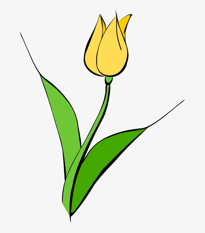 Detail Clip Art Bunga Tulip Nomer 28