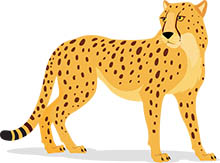 Detail Clip Art Cheetah Nomer 21