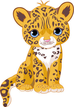 Detail Clip Art Cheetah Nomer 34