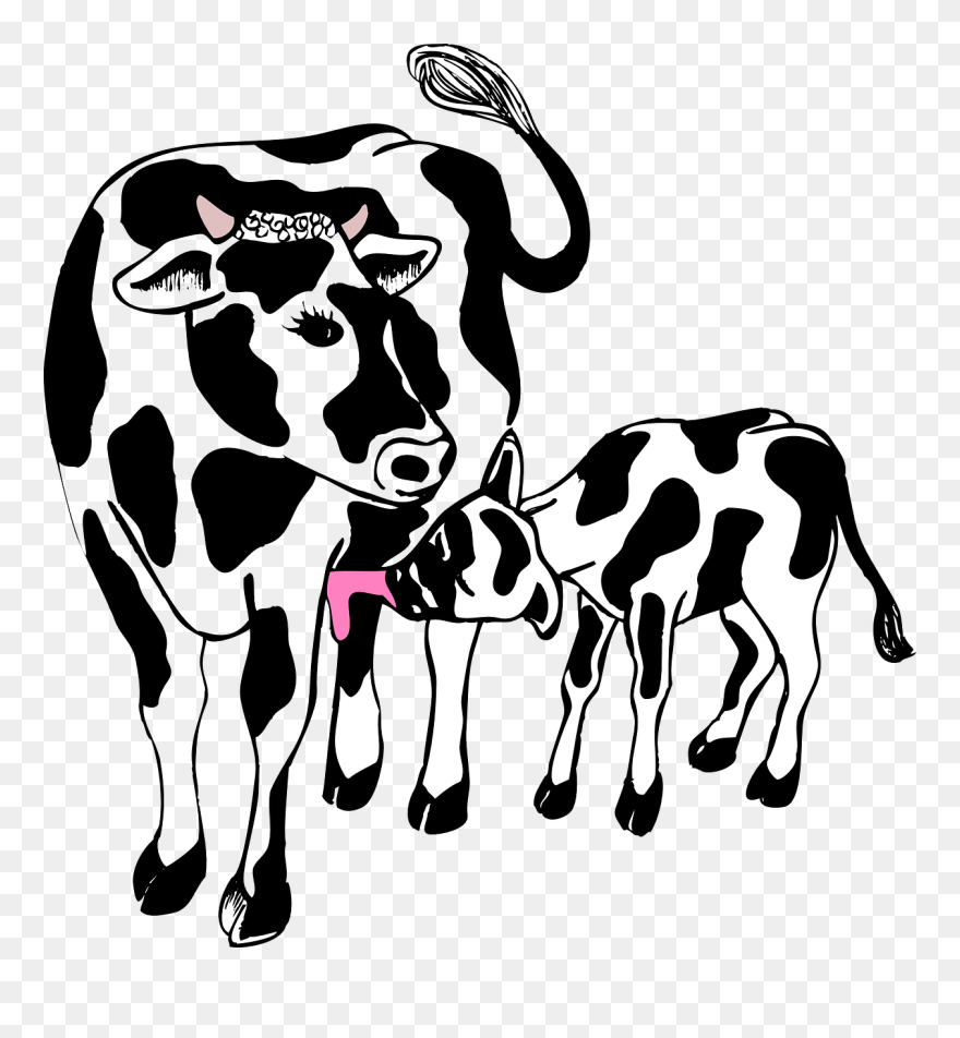 Detail Clip Art Cow Nomer 18