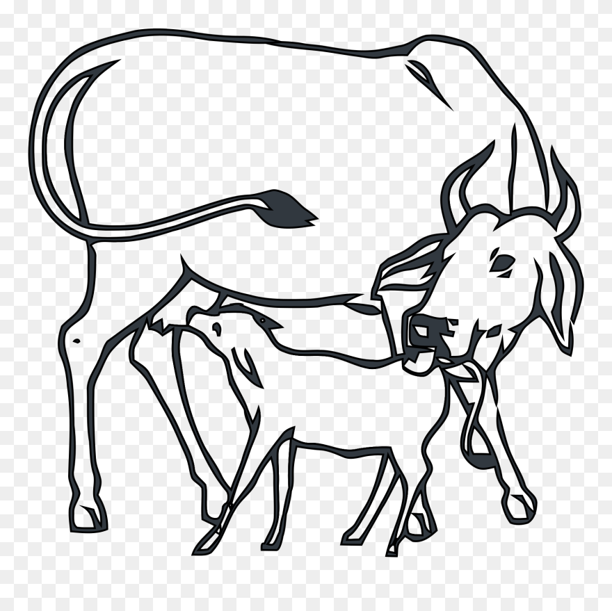 Detail Clip Art Cow Nomer 47