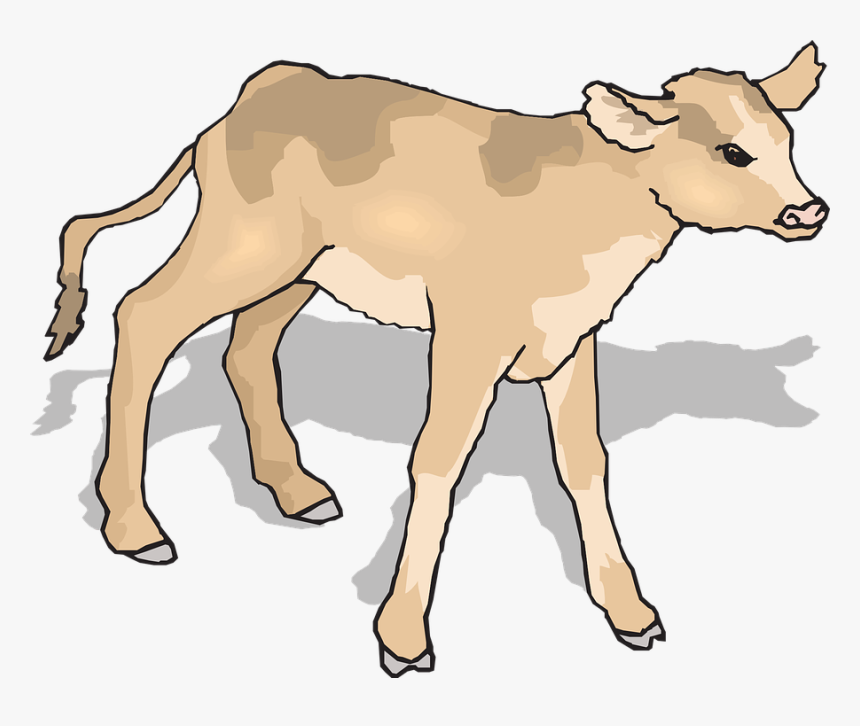 Detail Clip Art Cow Nomer 50