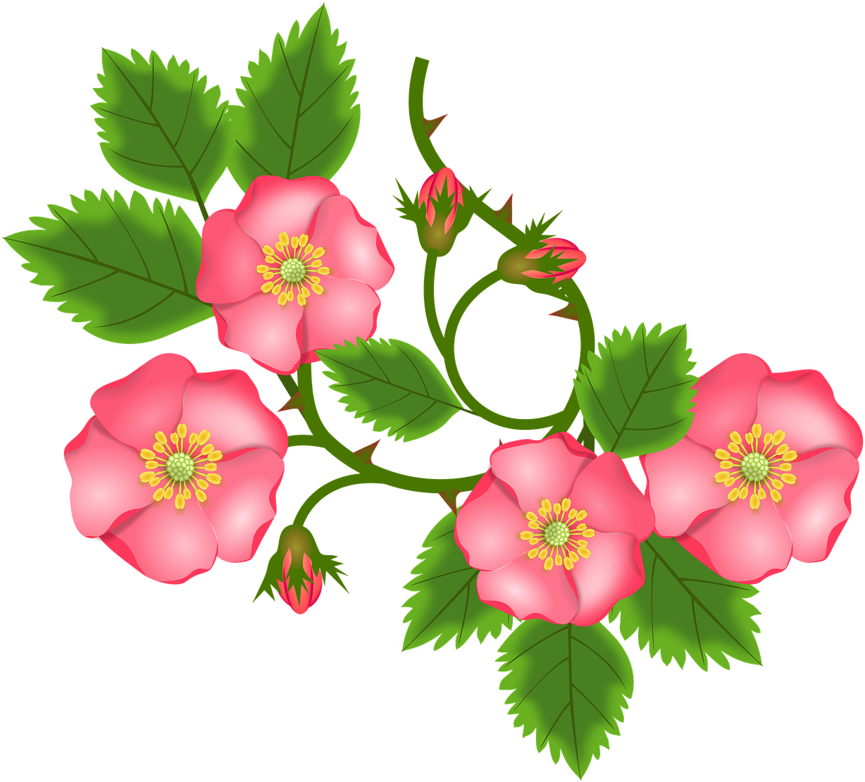 Detail Clip Art Gambar Bunga Nomer 8