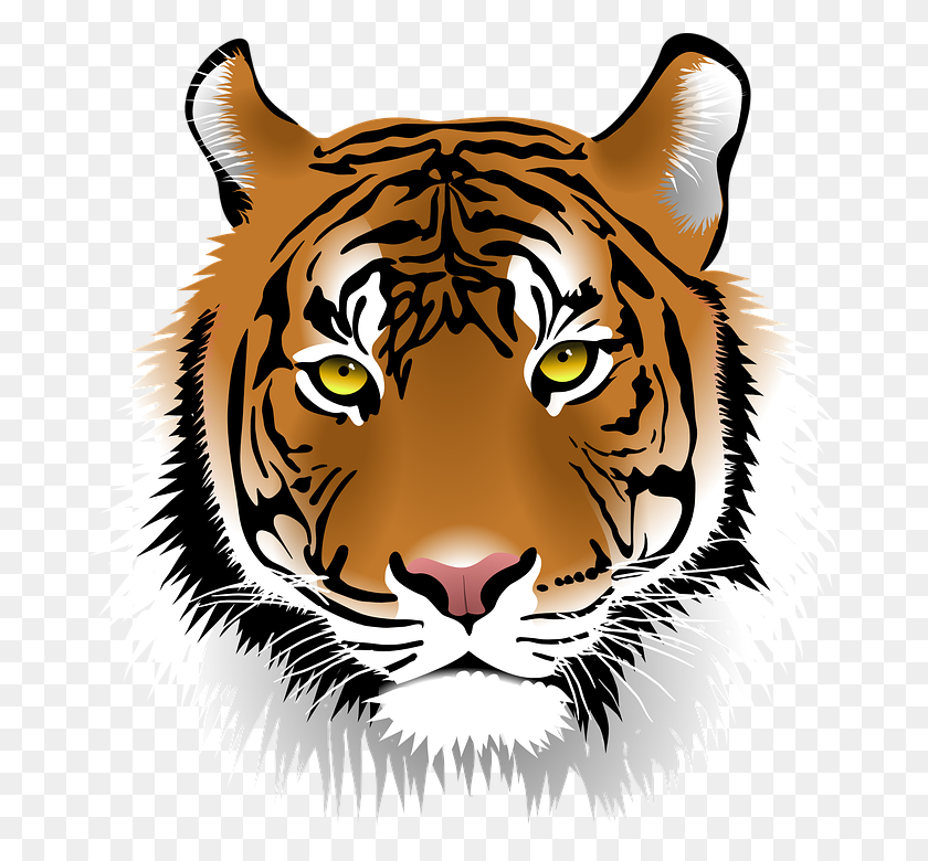 Detail Clip Art Harimau Nomer 10