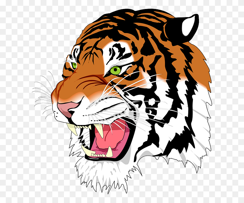 Detail Clip Art Harimau Nomer 15