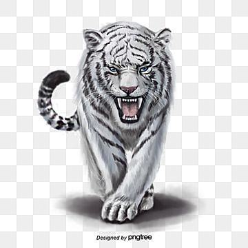 Detail Clip Art Harimau Nomer 20