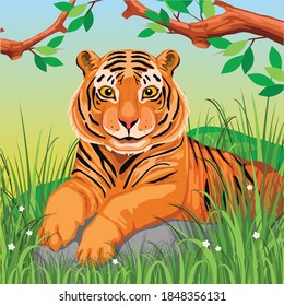 Detail Clip Art Harimau Nomer 4