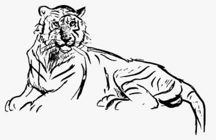 Detail Clip Art Harimau Nomer 40