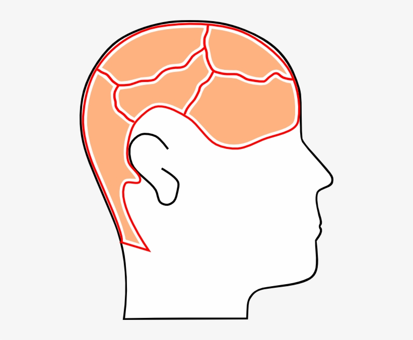 Detail Clip Art Kepala Nomer 2