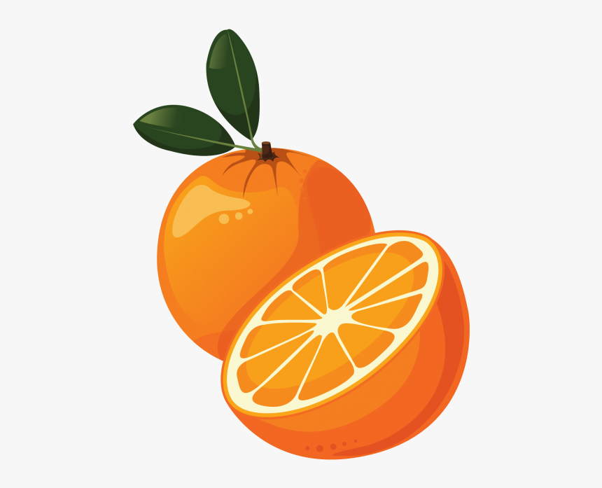 Detail Clip Art Orange Nomer 17