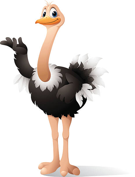 Clip Art Ostrich - KibrisPDR