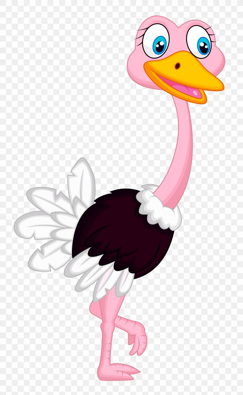 Detail Clip Art Ostrich Nomer 16