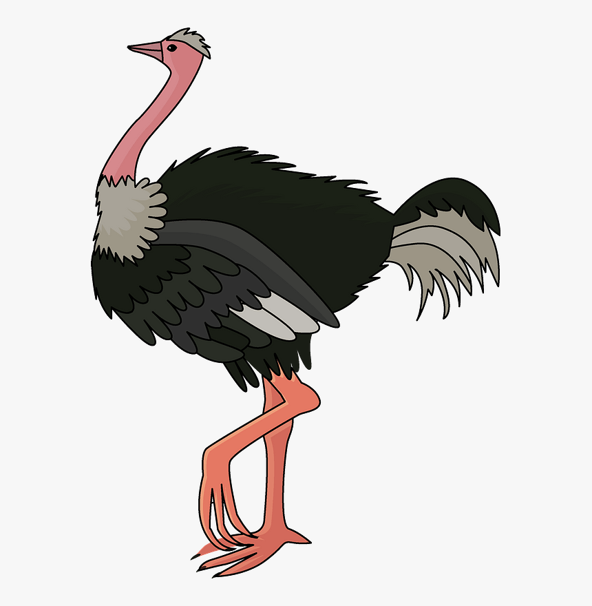 Detail Clip Art Ostrich Nomer 2