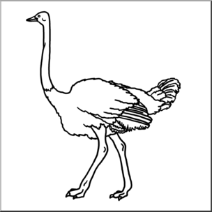 Detail Clip Art Ostrich Nomer 33