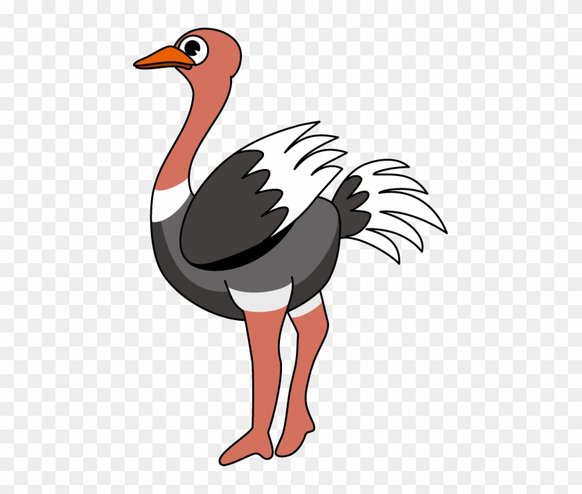 Detail Clip Art Ostrich Nomer 35