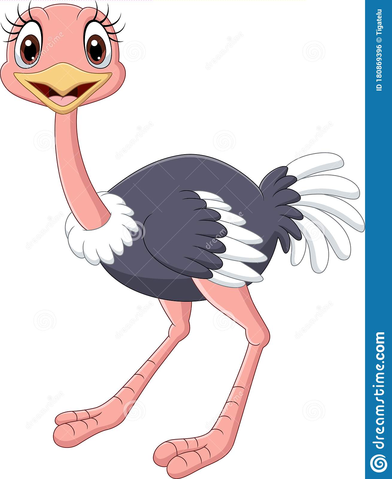 Detail Clip Art Ostrich Nomer 42