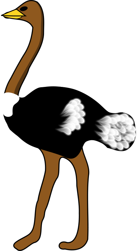 Detail Clip Art Ostrich Nomer 4