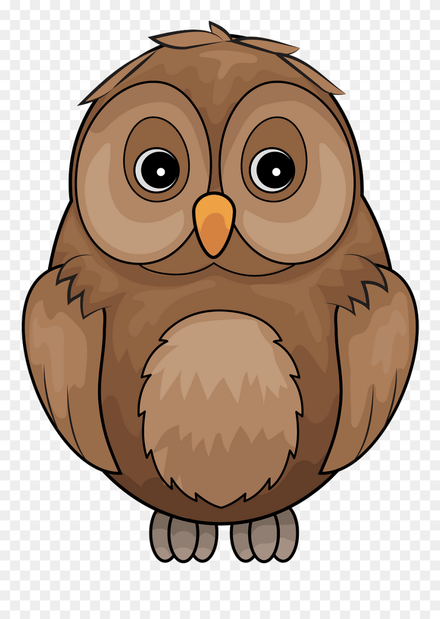 Detail Clip Art Owl Nomer 47