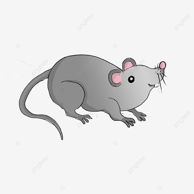 Detail Clip Art Tikus Nomer 8